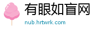有眼如盲网